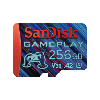 SD Card 256GB